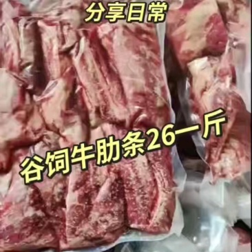 真空包装古丝牛肋条肉，烧烤专用牛肉块。