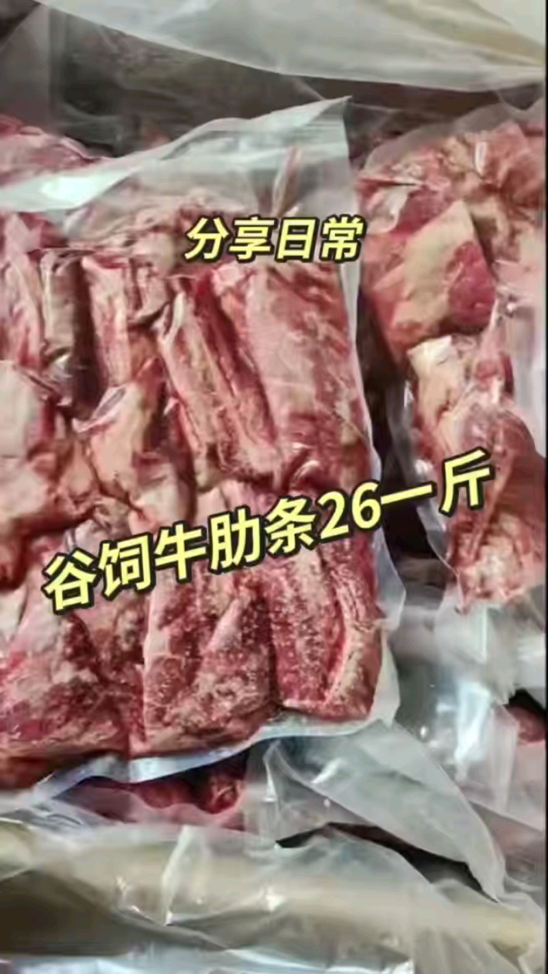 真空包装古丝牛肋条肉，烧烤专用牛肉块。