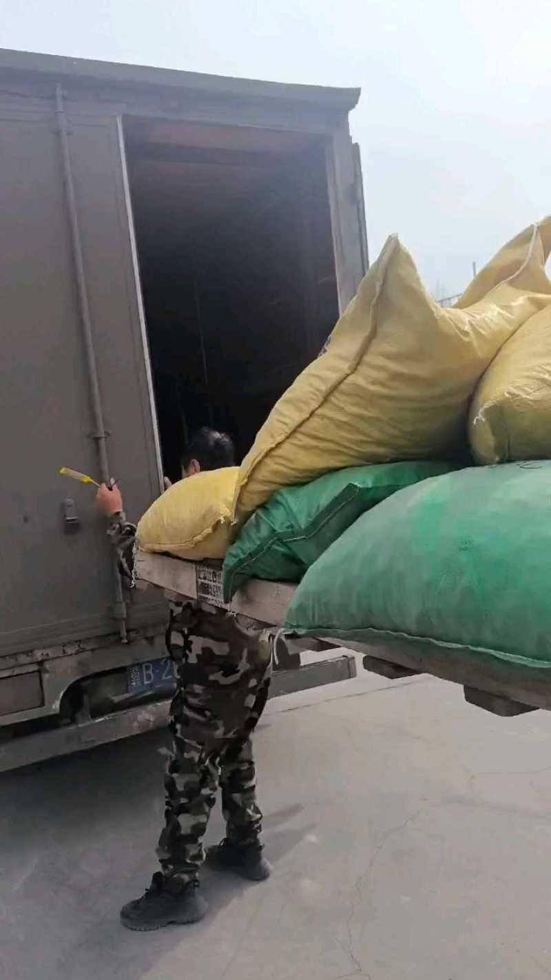 正宗青龙老树板栗软糯香甜皮薄肉黄产地发货