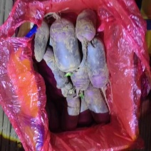 紫美紫喜口感爆汁冰激凌水果萝卜，质量保证，按需包装