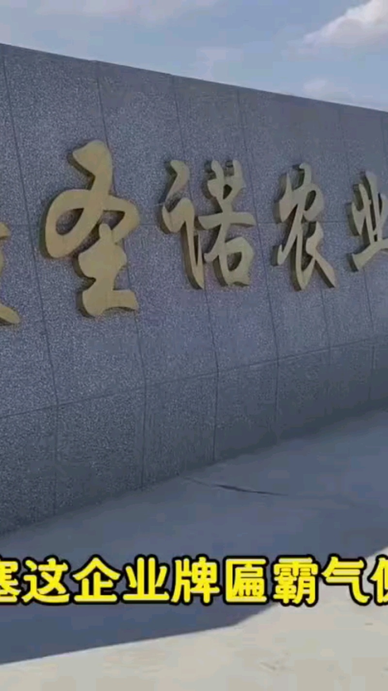 新疆甜食玉米