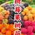 双季树莓覆盆子树苗树莓苗黄树莓苗南北方四季种植果树苗基地