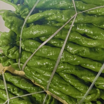 山东螺丝椒产区，暖棚头茬大量上市，货量充足精品市场电商