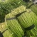 [白帽蒜苔]蒜苔各种规格对接商超市场电商欢迎来电