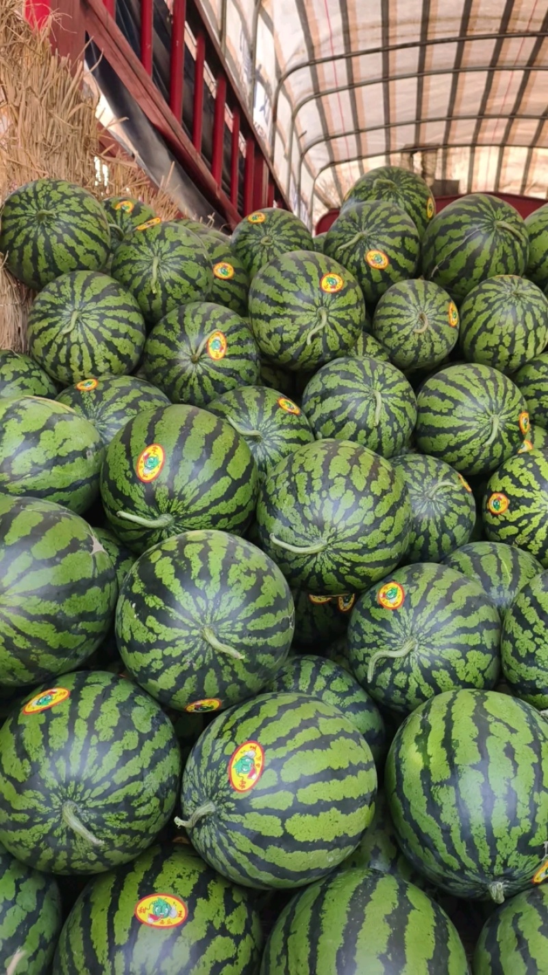大量头茬甜王上市中！