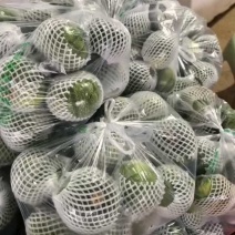 小南瓜嫩南瓜产地看货论价保质保量欢迎订购