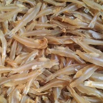 【牛商优选】精品银鱼干产地批发一手货源品质保证电联