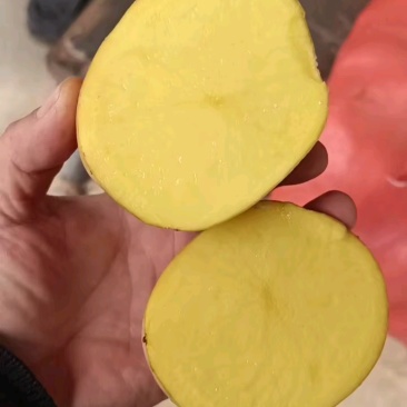 纯黄瓤黄心黄，皮黄肉黄品质好。