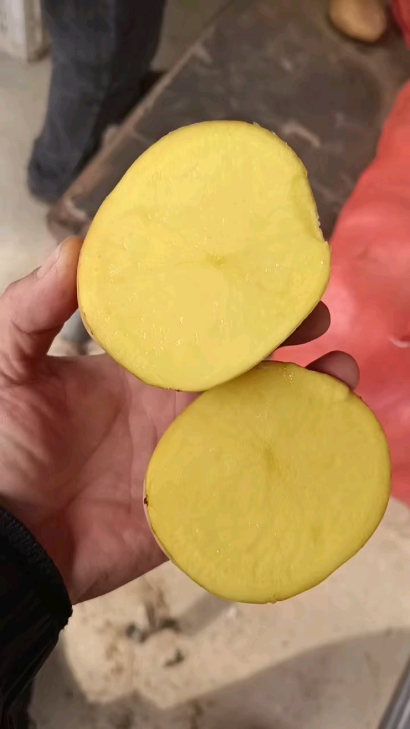 纯黄瓤黄心黄，皮黄肉黄品质好。