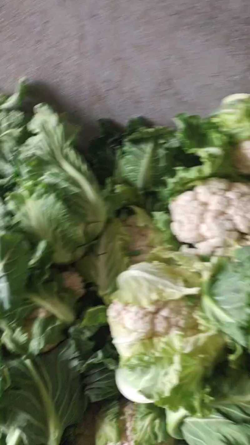 陕西实花，新鲜上市，货源充足，对接市场，档口，超市，