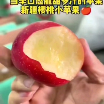 新货阿克苏樱桃苹果脆甜多汁，阿克苏产地直发一件起发包邮