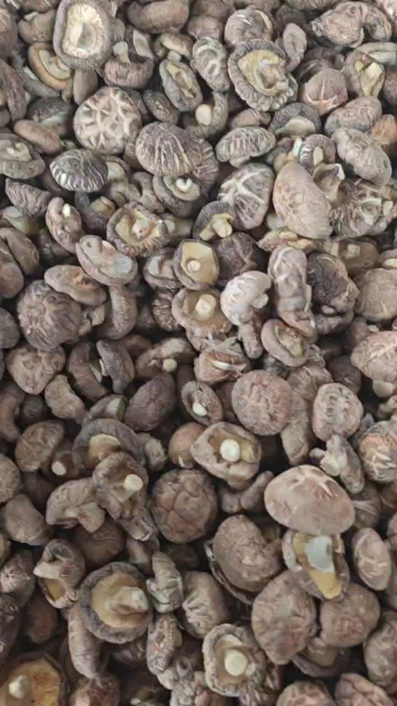 精选花菇干香菇湖北基地直供质量保证货源充足全国发货