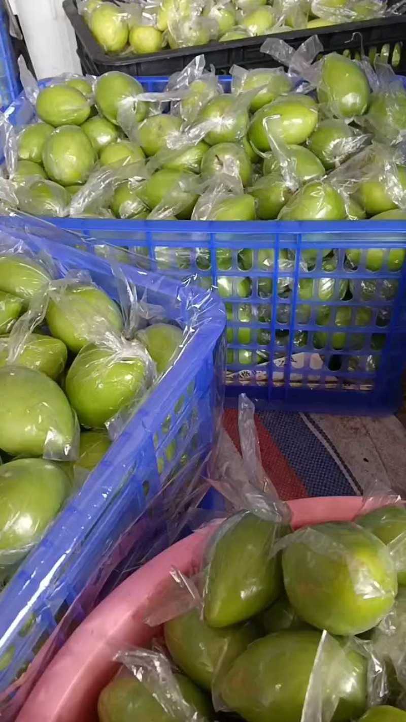 【热门水果】基地大青枣清甜无渣诚信经营一手货源