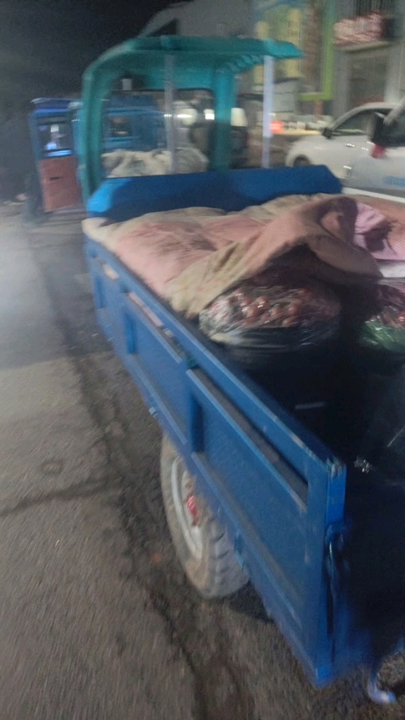 小柿子天马市场到货，价格3块左右，多色可选