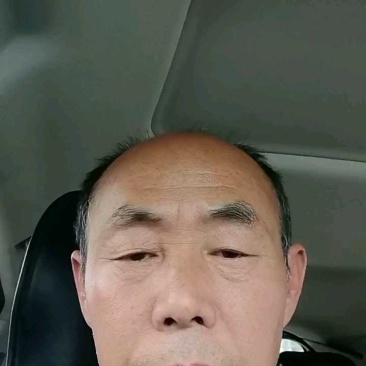 四川绵阳红心柚，三红柚