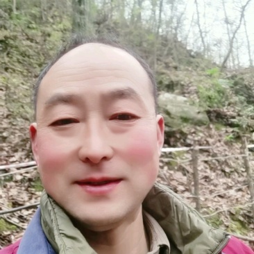 天麻陕西汉中1斤特级野生正品秦岭粉纯切片天然晒干货包邮