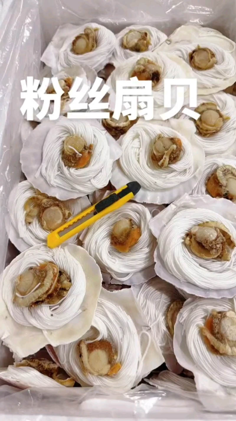 大号扇贝80个/箱，小号100个/箱，质量好！