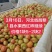 水果西红柿，美琪西红柿，产地直发大量上市欢迎来电