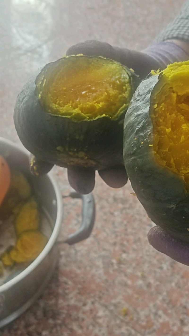 正宗贝贝南瓜一件代发老瓜麻仔惠和一号包邮对接电商平台社团