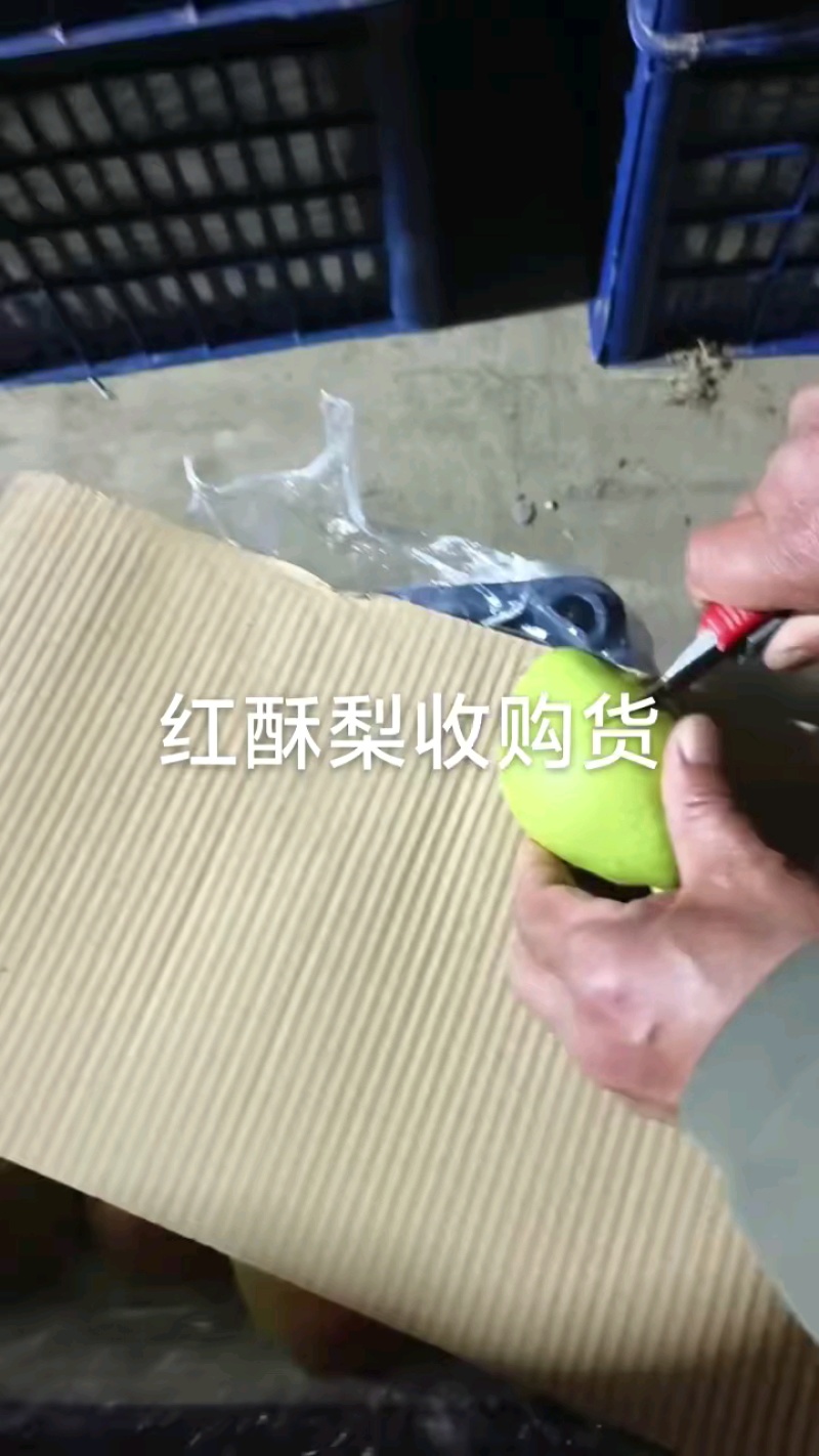无黑心好货降价，抓紧抢购！