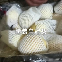 超皇冠梨一级货，价格便宜抓紧来！