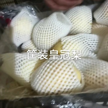 超皇冠梨一级货，价格便宜抓紧来！