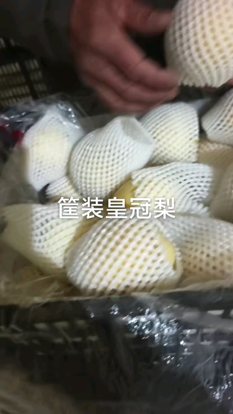 超皇冠梨一级货，价格便宜抓紧来！