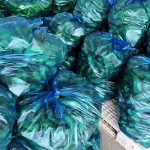 江苏精品301辣椒大量上市品质保证一手货源量大从