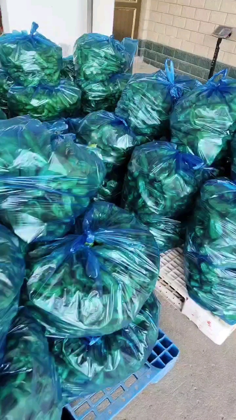 江苏精品301辣椒大量上市品质保证一手货源量大从