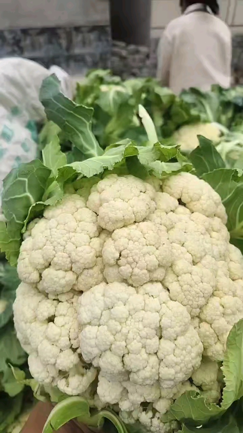 散菜花