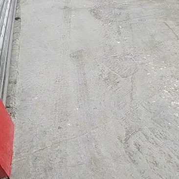 广西现货黑皮紫皮甘蔗产地直发一件代发市场批发