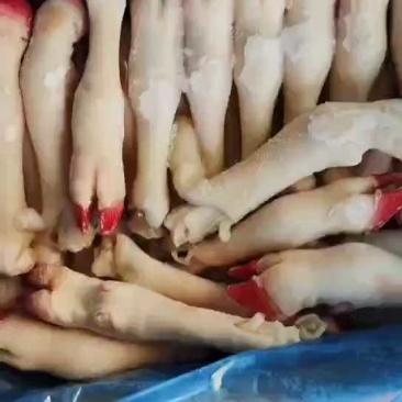 羊蹄实拍，无毛带筋，一斤三个！