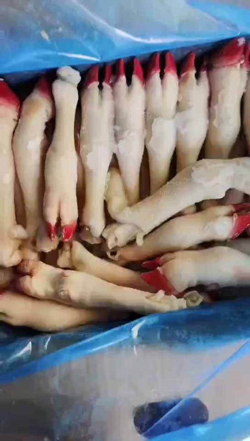 羊蹄实拍，无毛带筋，一斤三个！
