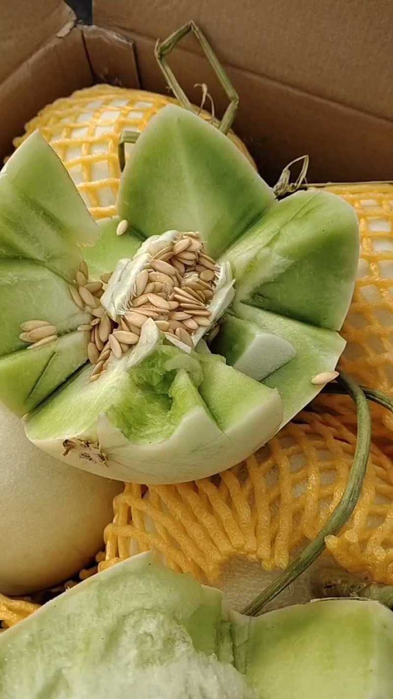 玉菇3斤15元，口感好刚到的货