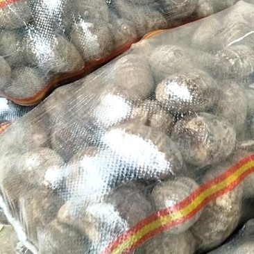 芋头8520.豆包，工人分捡大中小各种规格，好通货都有。
