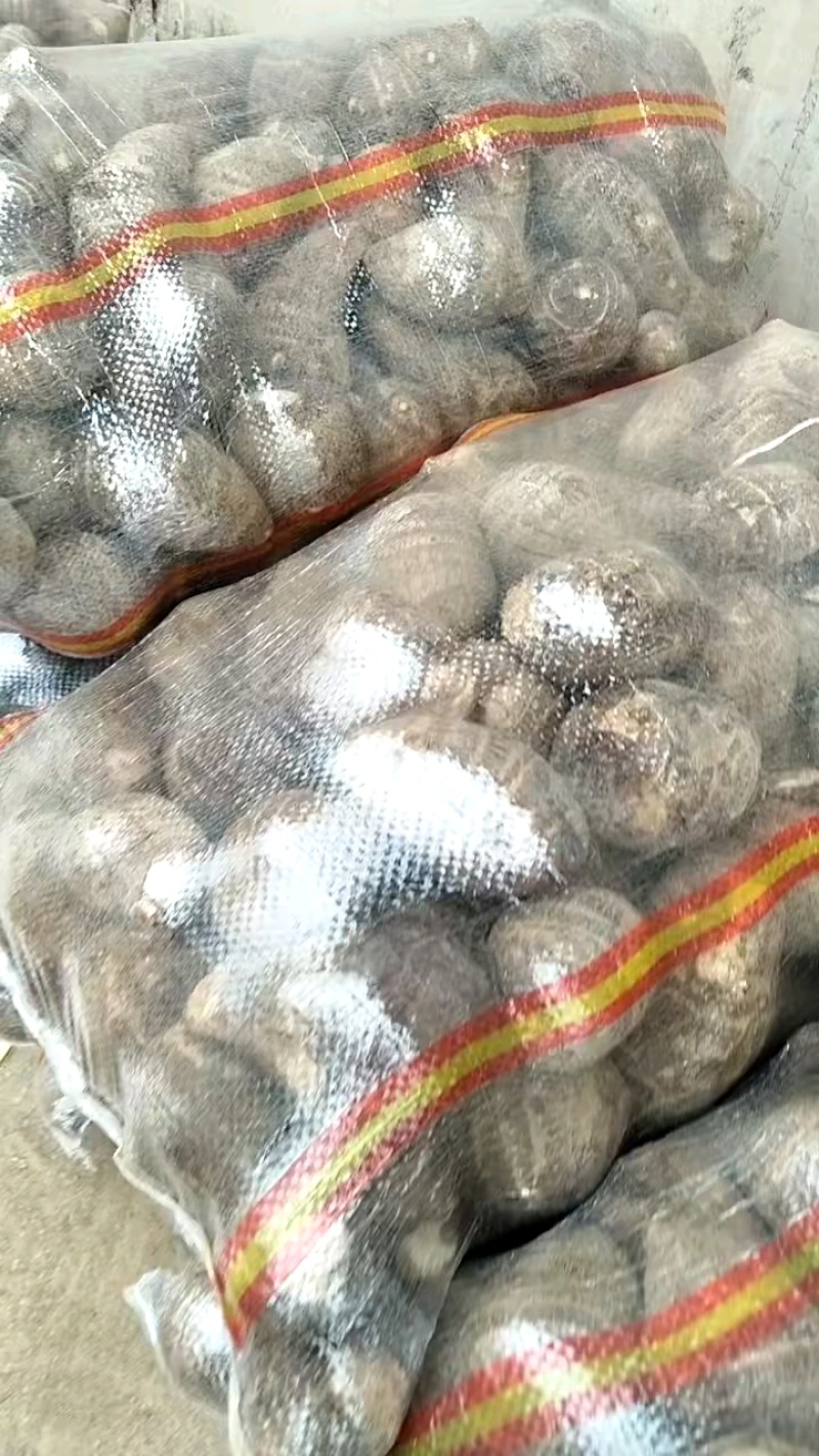 芋头8520.豆包，工人分捡大中小各种规格，好通货都有。