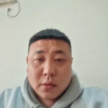 聊城西葫芦大量供应，供应各大商超，量大从优，