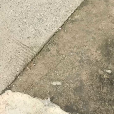 A秭归脐橙/九月红脐橙/纽荷尔/长虹/红橙/血橙/伦晚橙