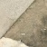 A秭归脐橙/九月红脐橙/纽荷尔/长虹/红橙/血橙/伦晚橙