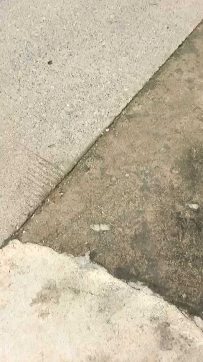 A秭归脐橙/九月红脐橙/纽荷尔/长虹/红橙/血橙/伦晚橙