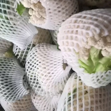 菜花
