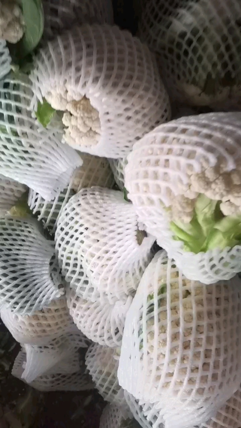 菜花