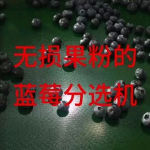 品质有价良心无价，老客回头就是**证明