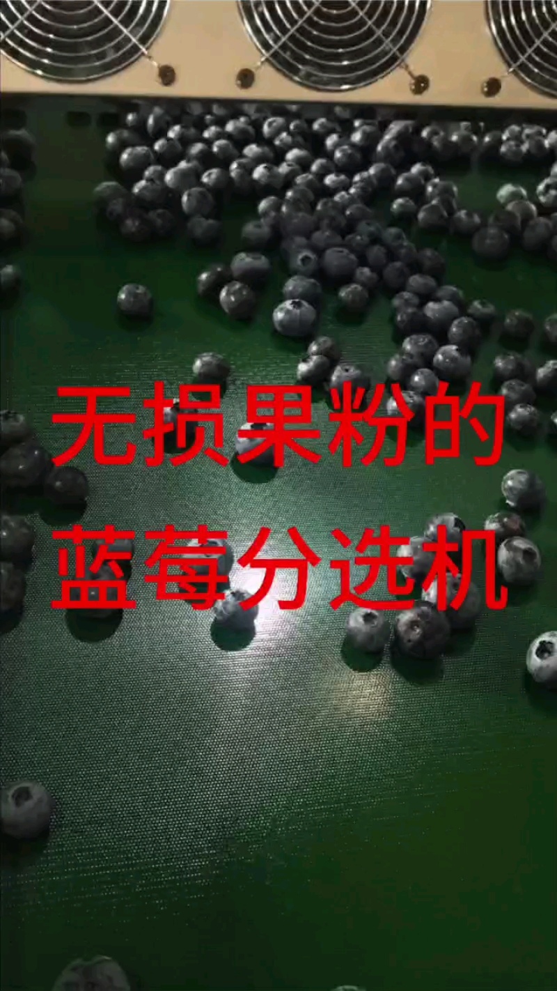 品质有价良心无价，老客回头就是**证明