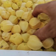 5元低价抢购，货量充足！