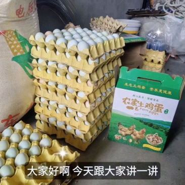 ***喂养土鸡蛋，新鲜正宗可联系
