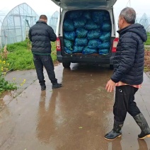 嘉兴南湖马兰基地欢迎您的洽谈合作