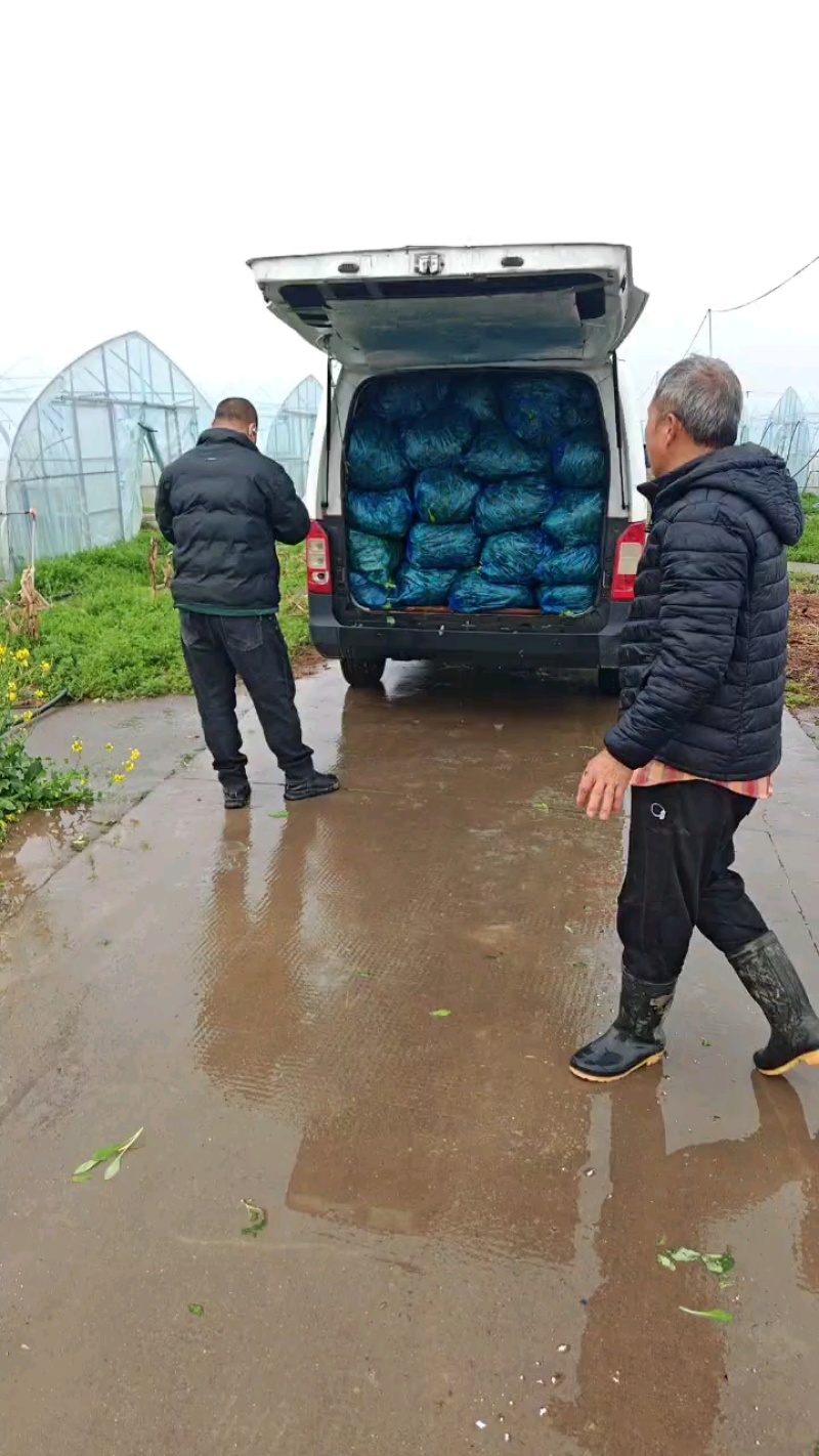 嘉兴南湖马兰基地欢迎您的洽谈合作