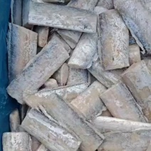 国产带鱼段到货，质量好价格不高！