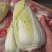 河南周口川汇区白菜